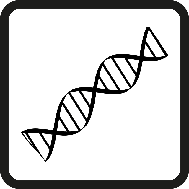 Basic_DNA thetahealing basic basis dna icon
