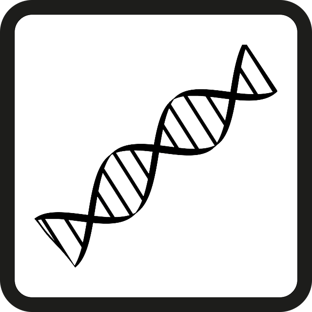 thetahealing basic basis dna icon